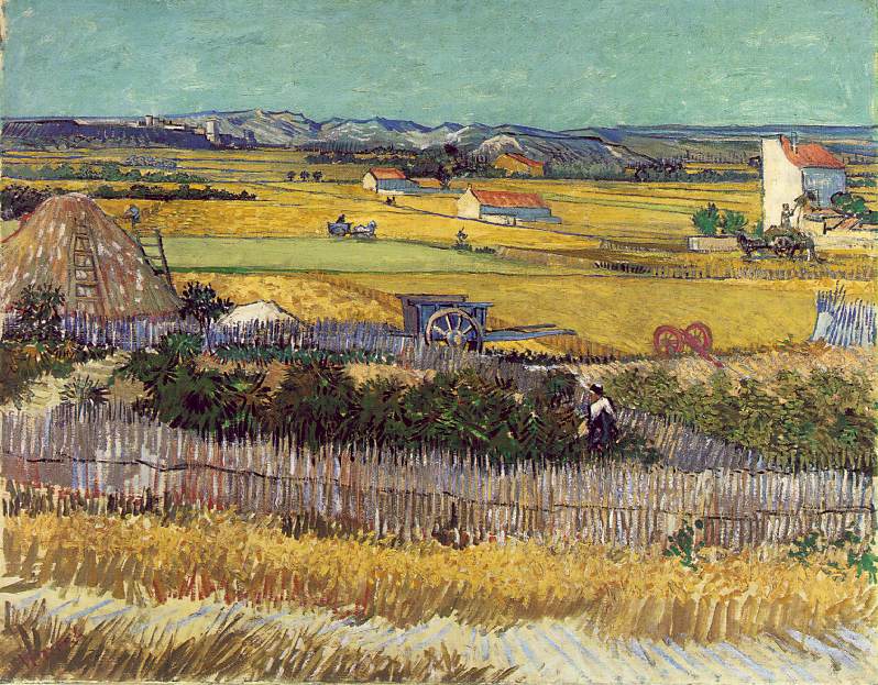 harvest.jpg